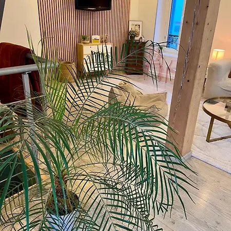 Plein De Charme Apartment